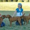 dogBday06