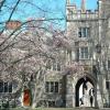 princeton