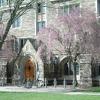 princeton