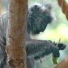 zoo017editweb