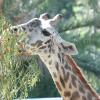 zoo167bweb