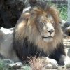 zoo193bweb